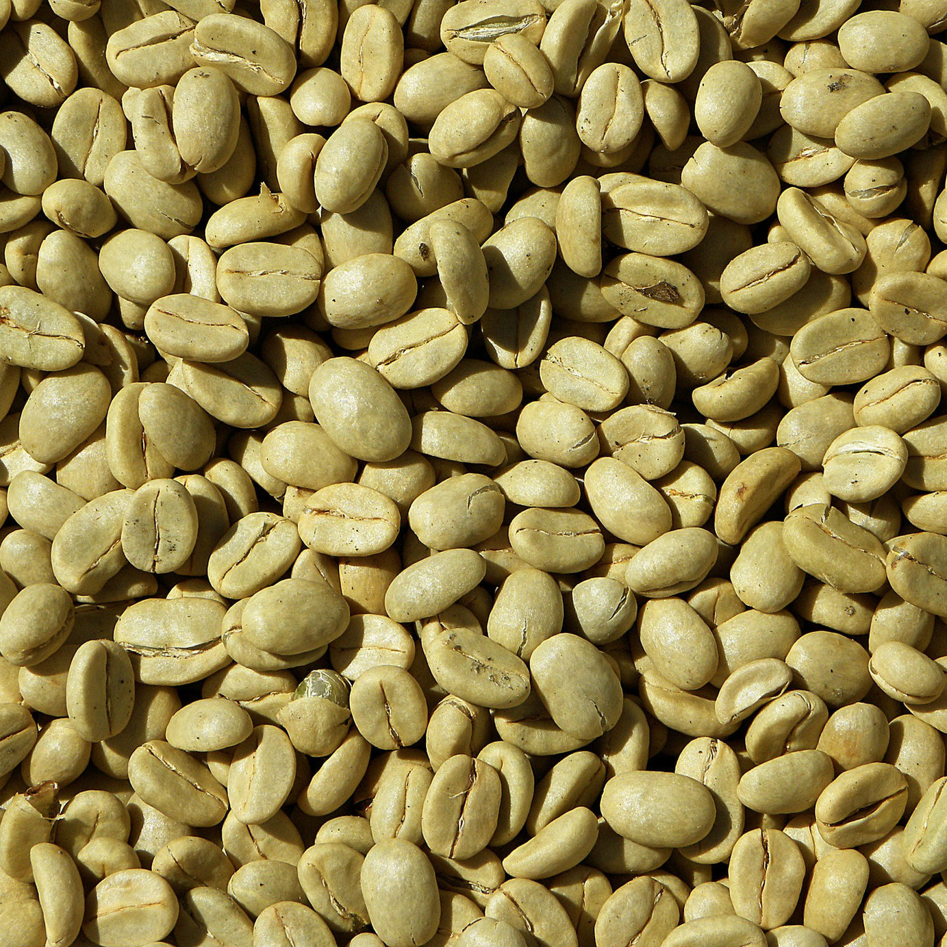 Solo Coffee - Uganda Speciality Arabica Green Beans - Price on Request (Bulk) Per Container