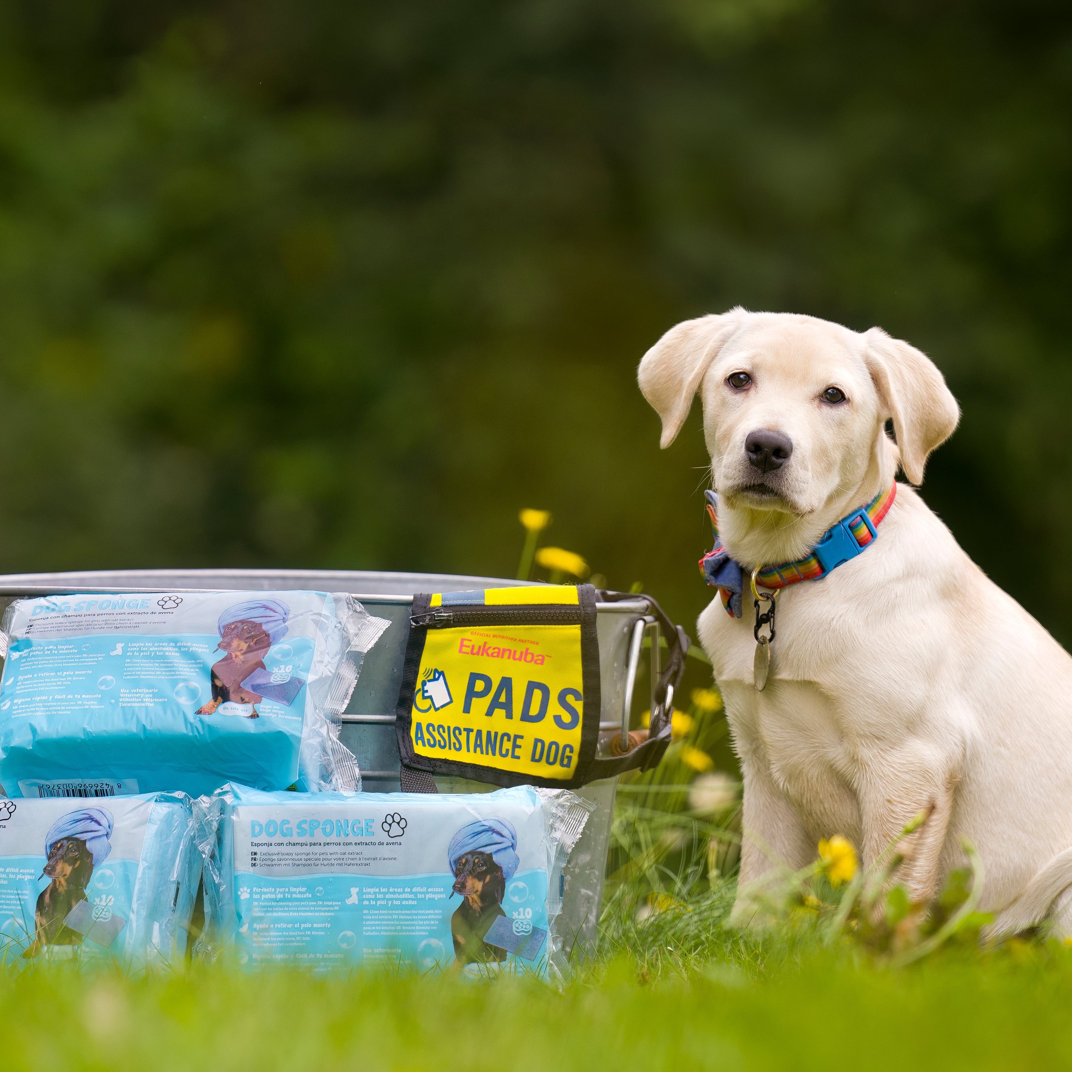 PADS Image.JPG__PID:ee8e9cf1-8b3d-4c2d-8ee8-c75bcff514d5