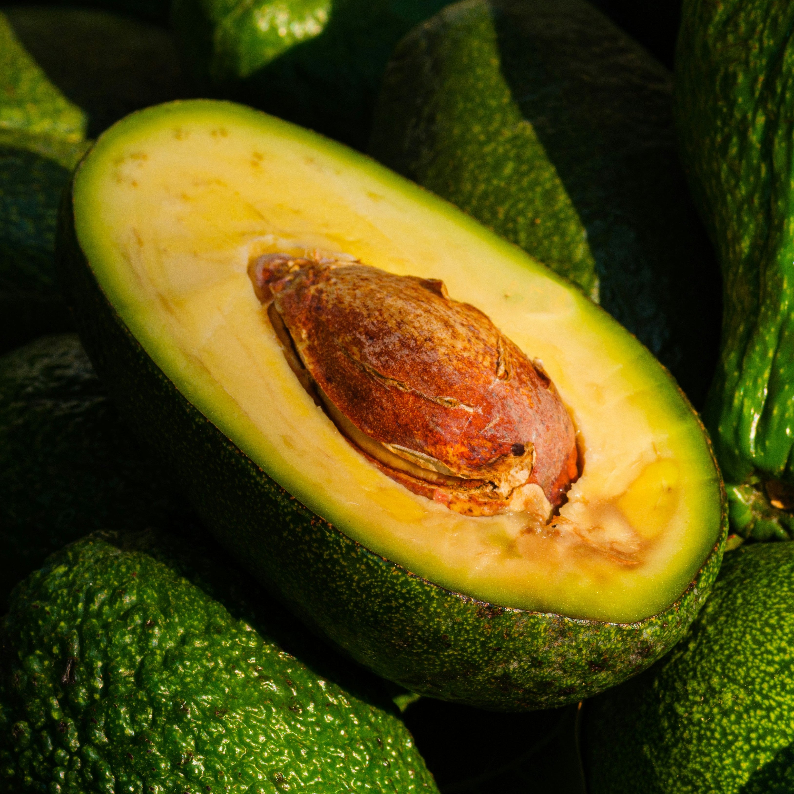 Avocados - Price on Request.