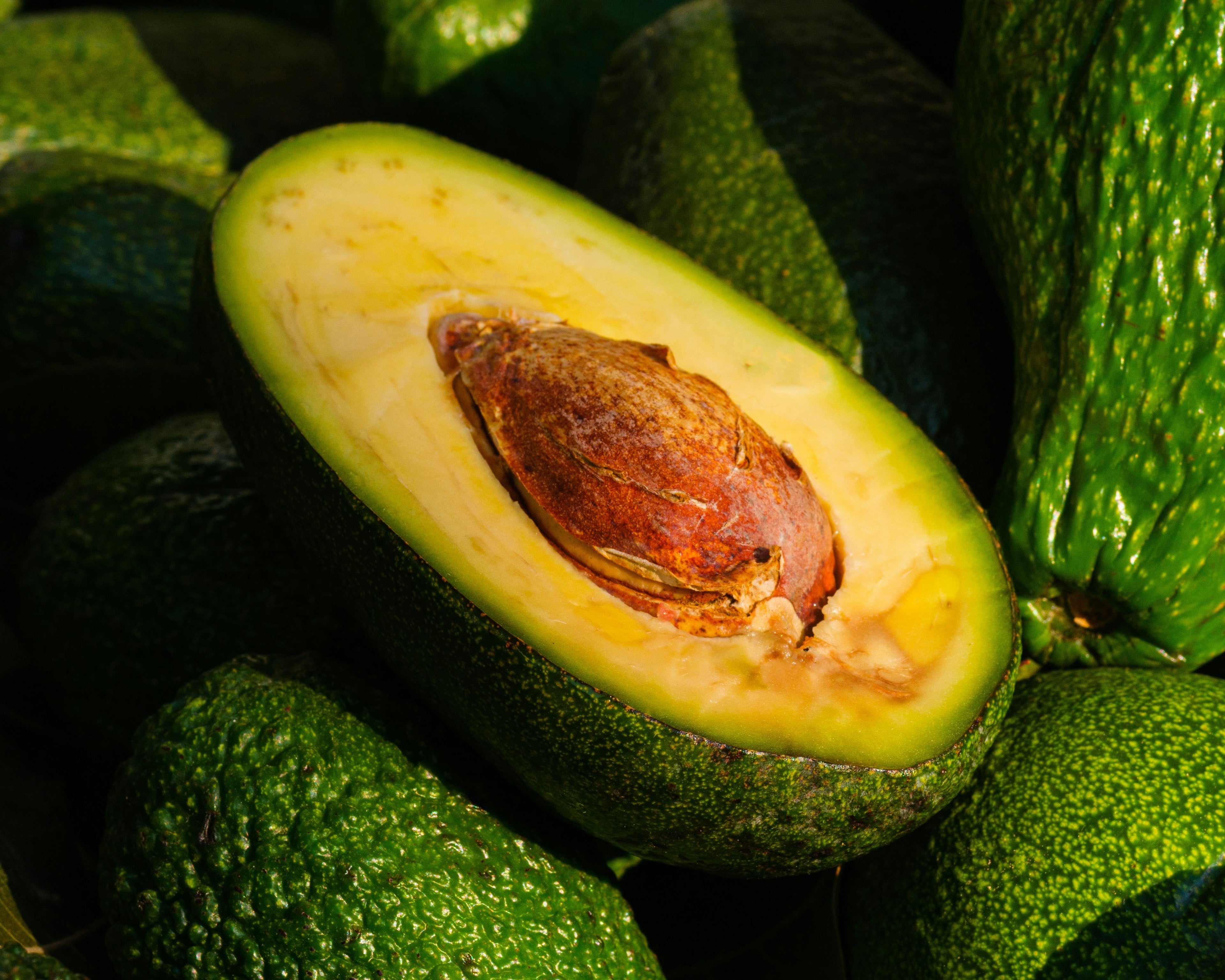 Avocados - Price on Request.