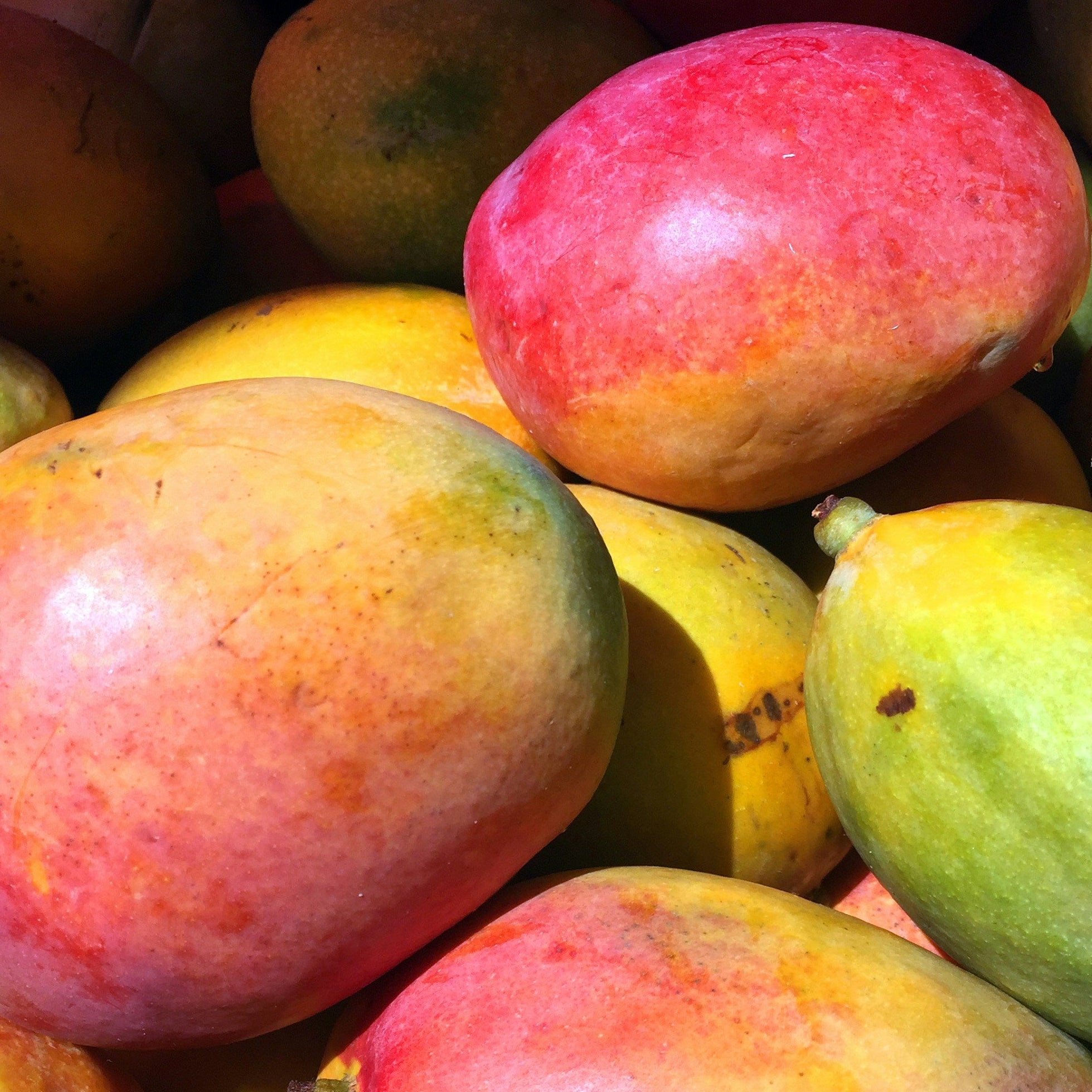 Mangos - Price on Request