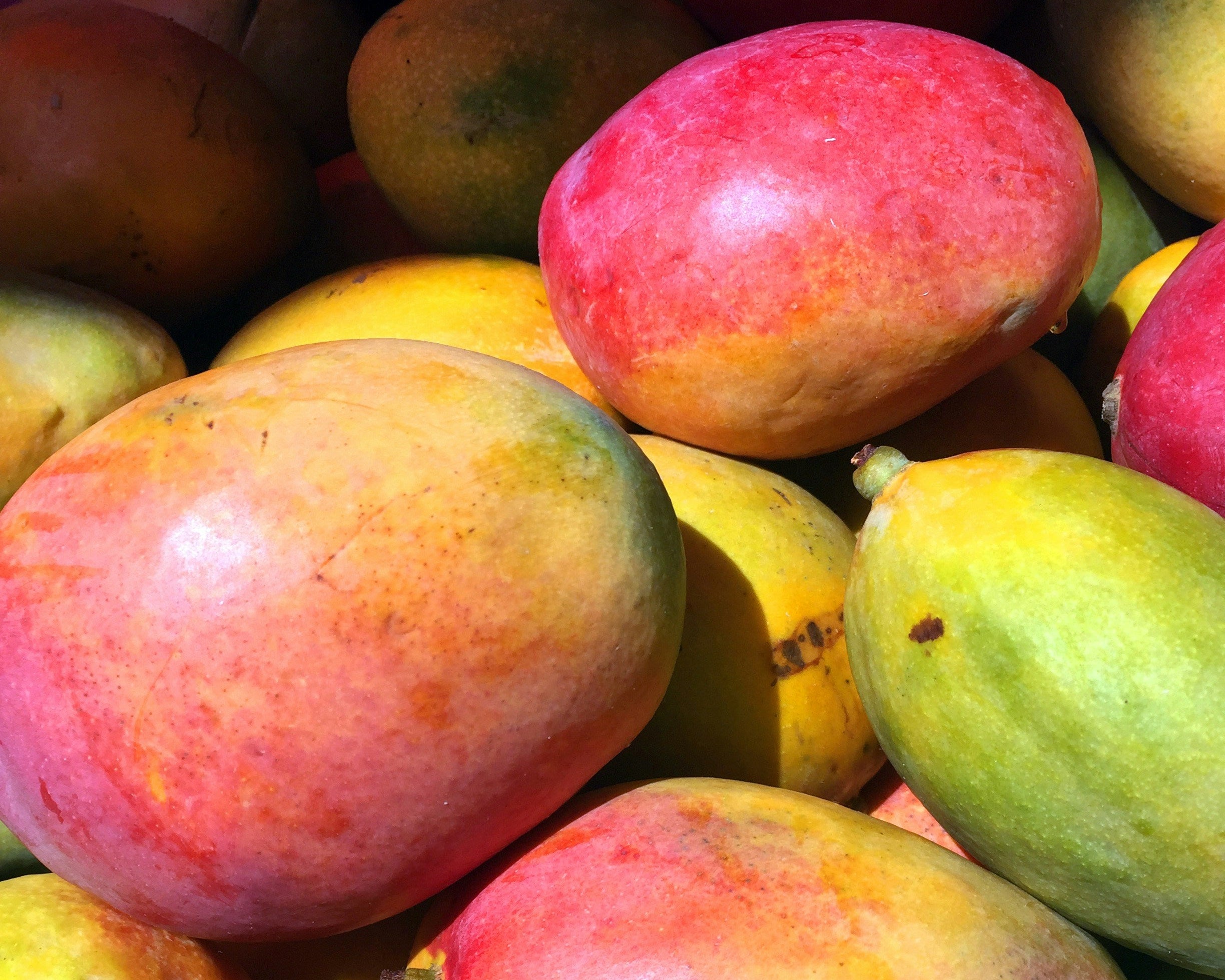 Mangos - Price on Request